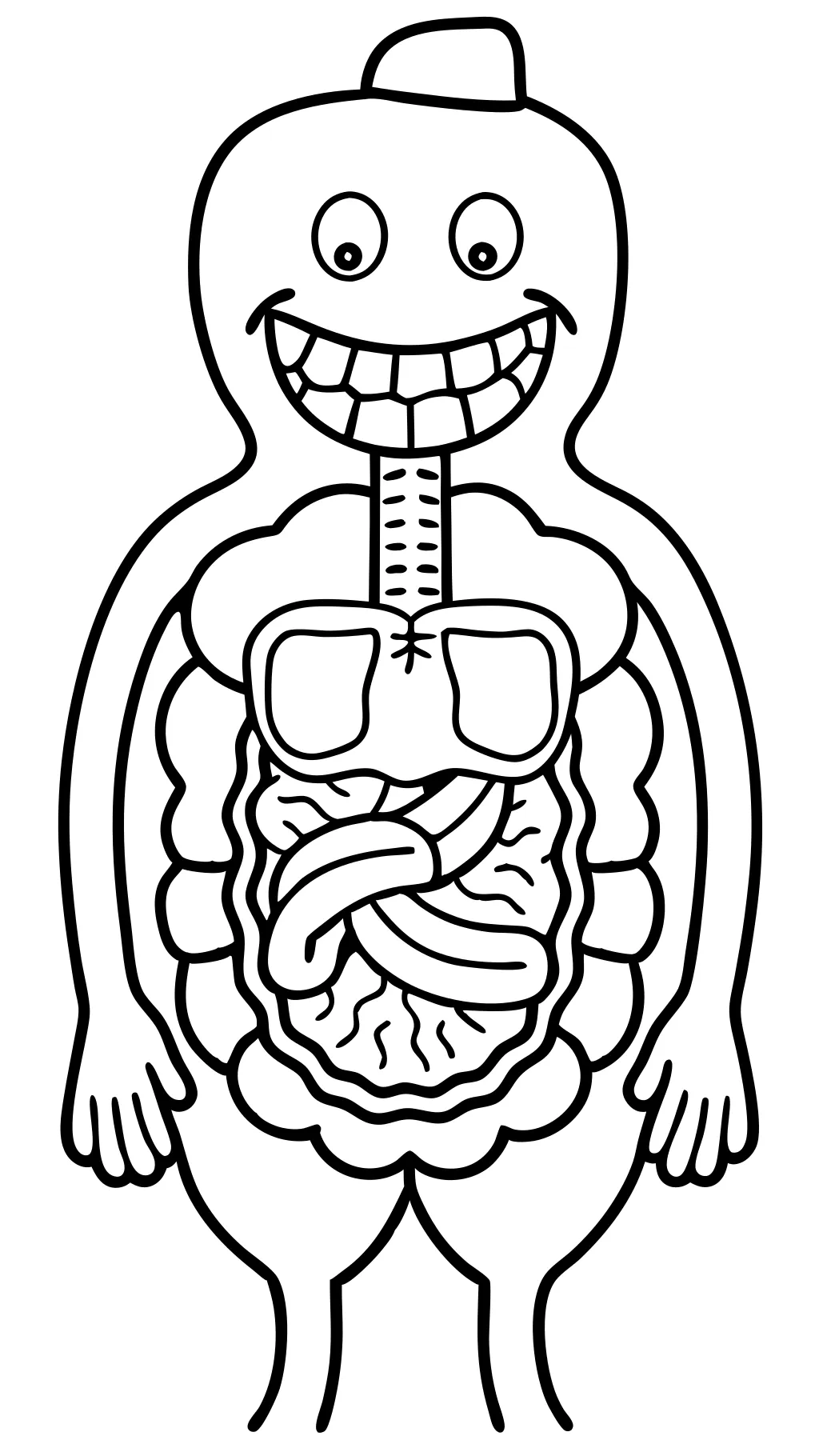 página de color del sistema digestivo